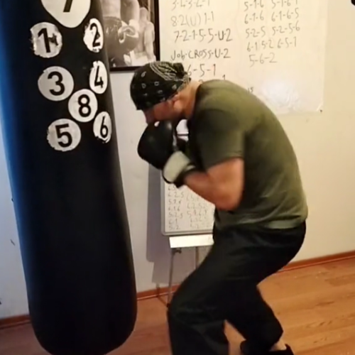 miketyson boxing